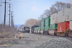 NS 11K